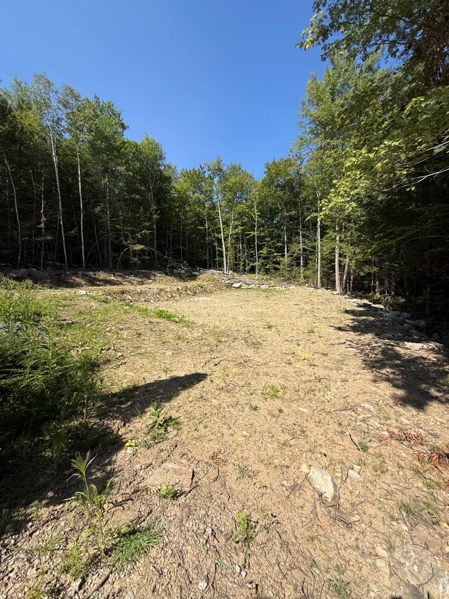 Roughly cleared area before grading and finishing