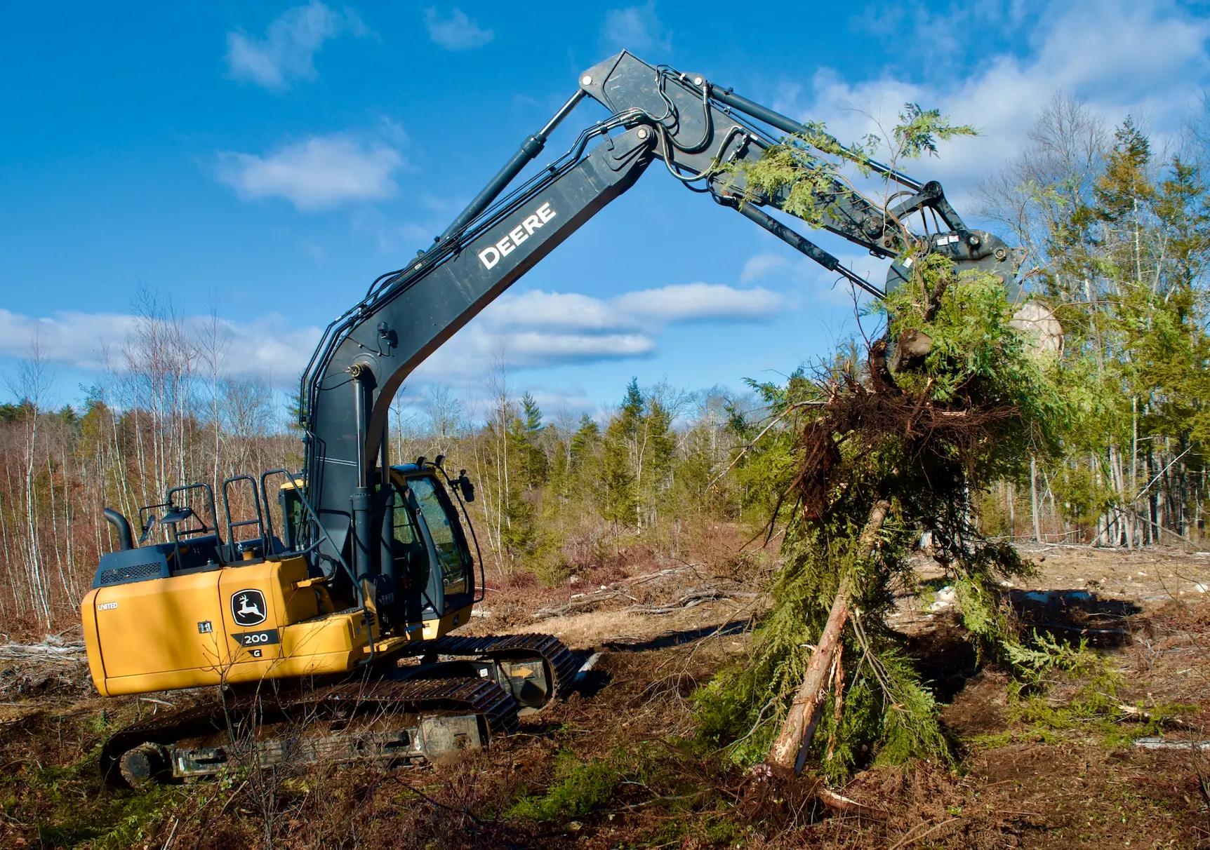 Excavator clearing trees on an overgrown New Hampshire property